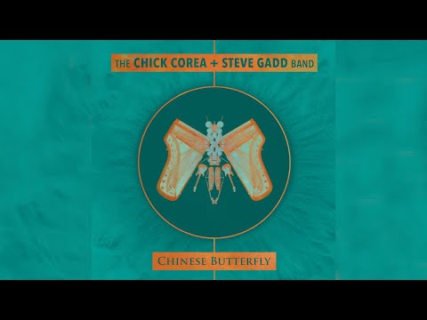 Chick Corea & Steve Gadd - Like I Was Sayin' from Chinese Butterfly