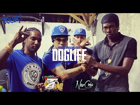 MARKENS FEAT WALTON CLR X OBLIK - DOGLIFE