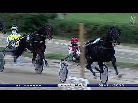 Aversa trotto 5 Novembre 2022 - 4° Corsa