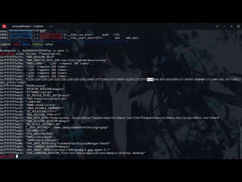 Exploiting a simple buffer overflow vulnerability | Binary Exploitation