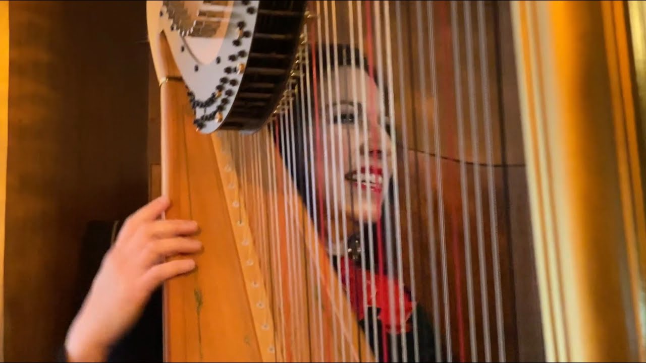 Promotional video thumbnail 6 for Anna Maria Mendieta - Solo to Ensemble