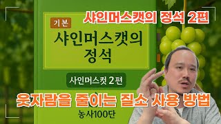 질소주면 웃자람? 샤인머스캣 웃자람 없이 질소 사용하는 방법 알려드립니다 | 2025년 샤인머스캣 재배교육 …