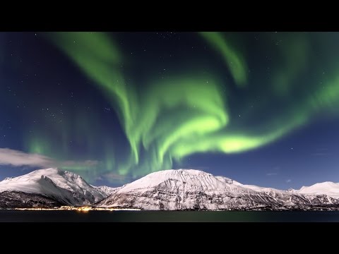 Fleyy x Uverlaw x Helion - Bouncin' Bootie