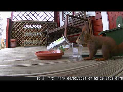 Auf der Terrasse - 178