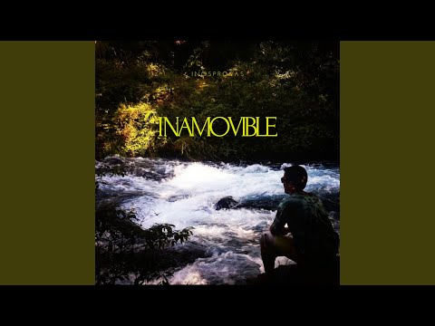 INAMOVIBLE