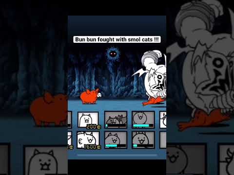 Teacher Bun Bun fought with only small cats! - Battle Cats #Cat #Battle #Battlecats