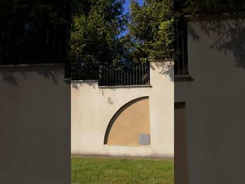 Domeniul mamei lui Marian Oprișan din Bolotești, Vrancea