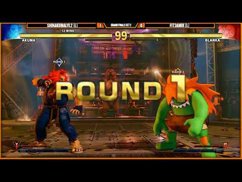 GatorLAN (Street Fighter V Grand Finals) ShinakumaLVL2 VS Fit3amir