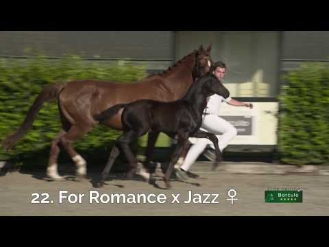 22 Nina Fleur van de Paulinehoeve (ET) (For Romance x Jazz)