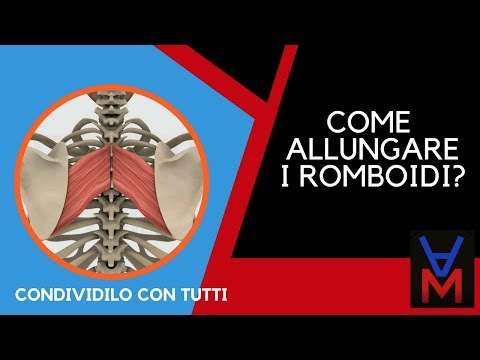 Medicina per giunti di noci Trattamento Bubnovsky delle articolazioni di mani piedi