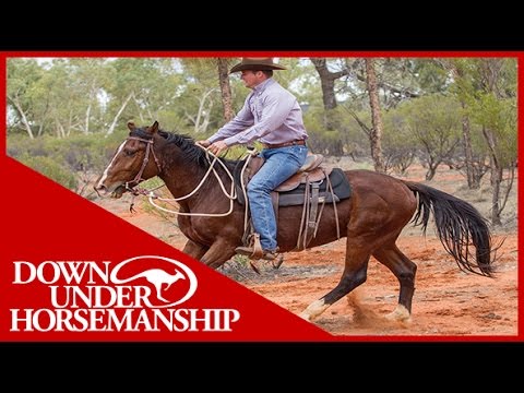 Clinton Anderson - Outback Adventure 13 of 14