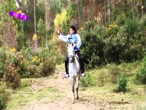 RAY EL SAFARI  REGRESA MUCHACHITA