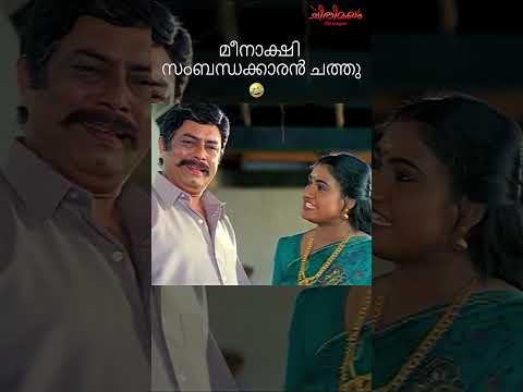 മീനാക്ഷി സംബന്ധക്കാരന്‍ ചത്തു 😂 | Kadha Nayakan Comedy Scene | 4K Enhanced | Chirimayam
