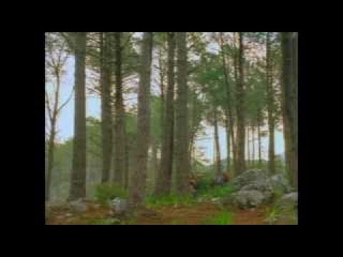 Sindbads Abenteuer S01E08 Die Nordmaenner