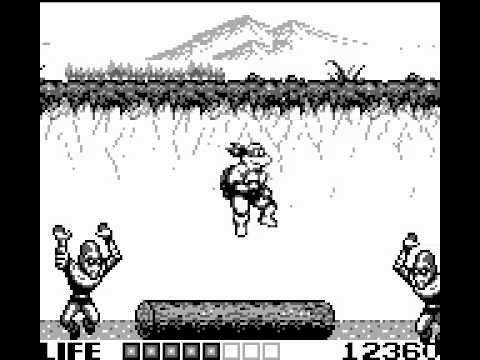 Teenage Mutant Ninja Turtles : Fall of the Foot Clan Game Boy
