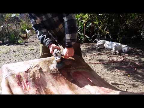 Fleshing out a hide the quick way