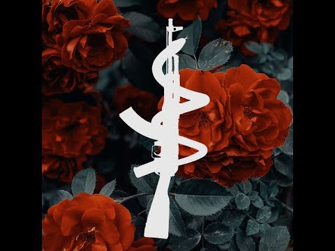 I'M BACK - GO4, SCRIM AND RANKED'S - R6 PC HIGHLIGHTS