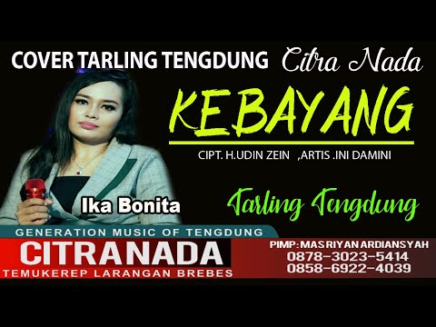 KEBAYANG || COVER TARLING TENGDUNG CITRA NADA || IKA BONITA