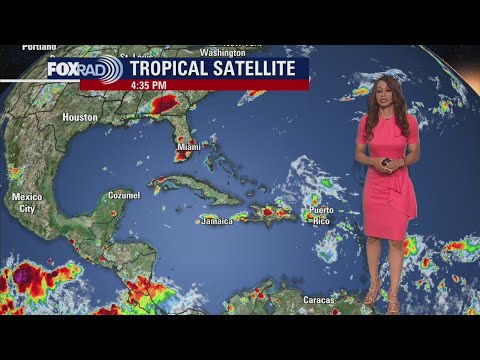 Tropical Weather Forecast - August 8, 2023