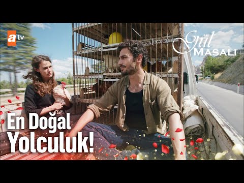 Gonca ve Toprak'ın tavuklarla yolculuğu! - Gül Masalı 11. Bölüm