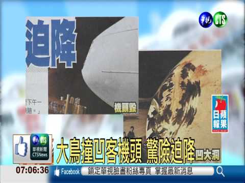 大鳥撞凹客機頭 驚險迫降