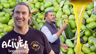 Brad Makes Olive Oil (In Italy!) | It&#39;s Alive | Bon Appétit