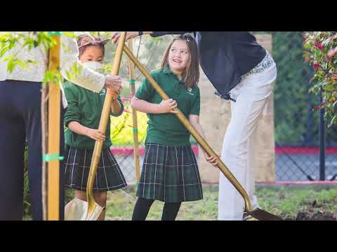 Harker Scholar Athlete | Taryn Kern from Mitty