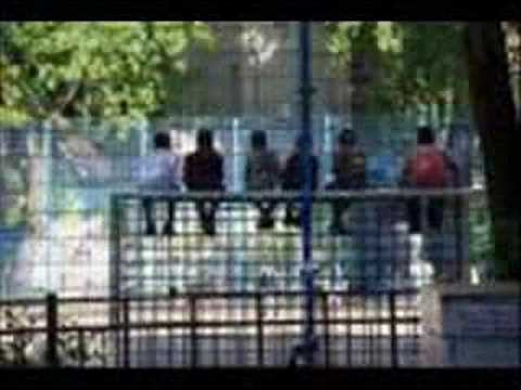 Tierstar Andrez - auf den strassen von berlin