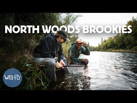 Wild Fly Productions and Tight Loops