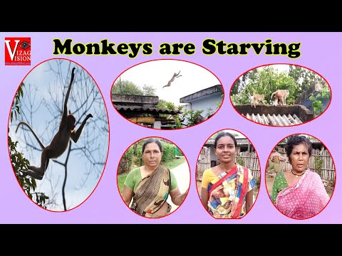 Sri Adi Shakti Naga Devi Amma Shakambari with 