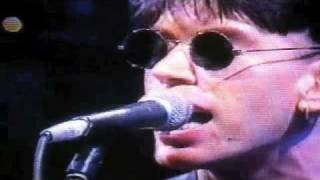 Molly and the Moonjeans