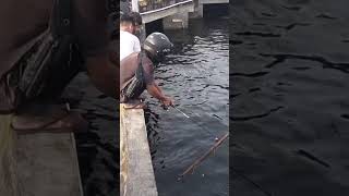 Download lagu Wow! Fishing for Baby GT under the dock with soft lures #shorts #shortvideo mp3 Download lagu Wow! Fishing for Baby GT under the dock with soft lures #shorts #shortvideo mp3
