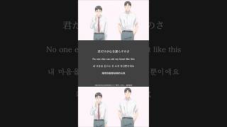 君だけが心を揺らすのさ - 須田景凪 新曲「ラブル」🥀#夢中さきみに#須田景凪