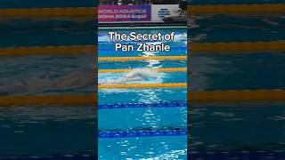 Is Pan Zhanle the Perfect Swimmer