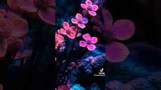 Hombres G - Tormenta Contigo