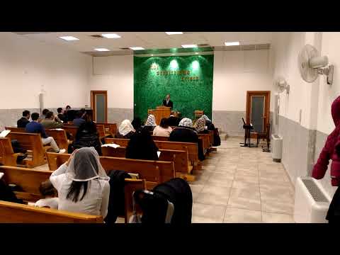 402  Mi prendi per la mano