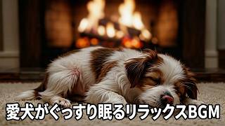💤 | 犬の睡眠音楽・愛犬がぐっすり眠るリラックスBGM#犬の睡眠音楽 #犬の癒し音楽 #犬の子守唄 #愛犬リラックス #犬のBGM
