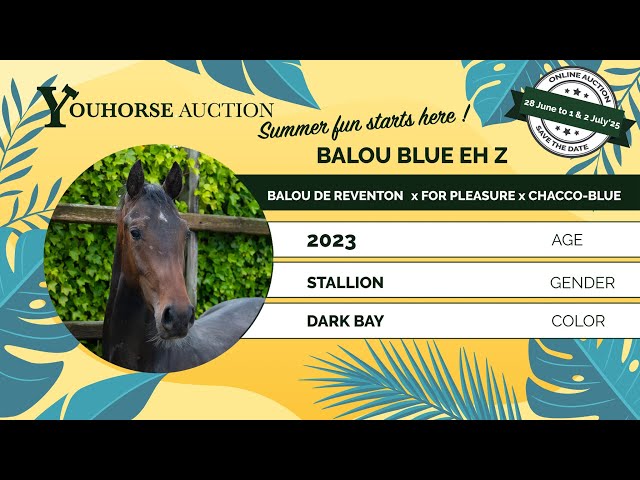 Balou Blue EH Z