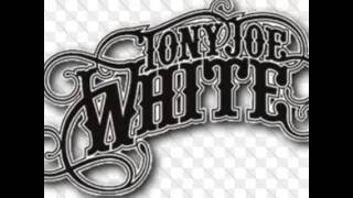 TALENT OF TONY JOE WHITE* - You Taught Me How To Love* (V-1)