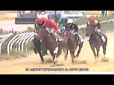 Galoppo Corse del 2 Aprile 2016