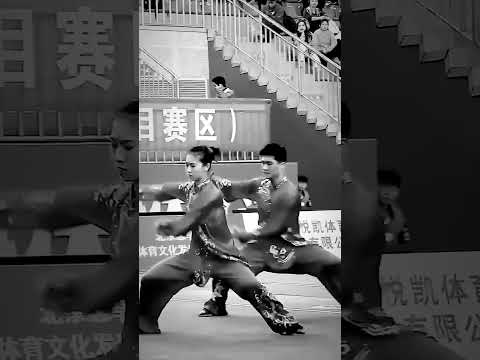 Tai Chi Roosendaal short 1