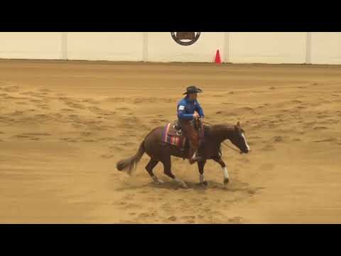 181006 Open Futurity Finals Casey Deary on All About Business