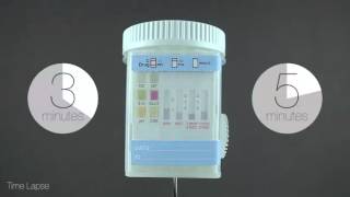 LaneWorkSafe Tutorial -- Split Specimen Urine Drug Screen Cup