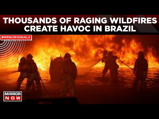 Brazil Wildfire 2024 | Roraima State Swept By Raging Forest Fires | World News