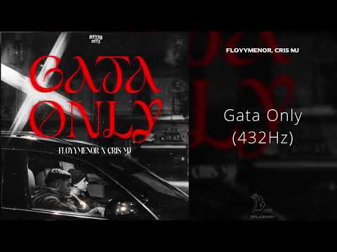 FloyyMenor, Cris Mj - Gata Only (432Hz)