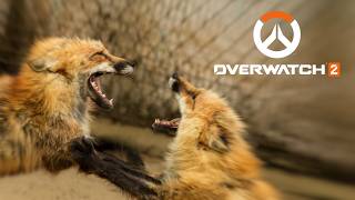 ▶︎▷ Overwatch｜にじさんじのみなさんと｜夕陽リリ￤にじさんじ