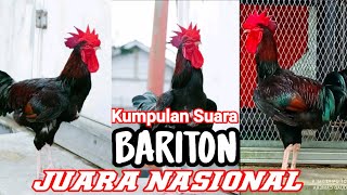 Download lagu Kumpulan Suara Bariton Juara Nasional mp3 Download lagu Kumpulan Suara Bariton Juara Nasional mp3