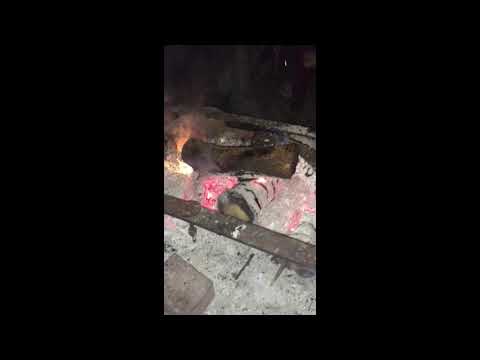 Новый проект 251