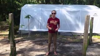 How to grow Dragon Fruit in SWFL  ( part 3 )