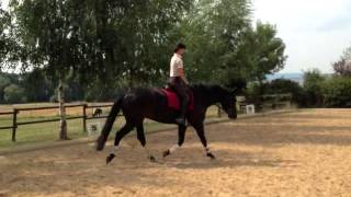 Video von Candlelight